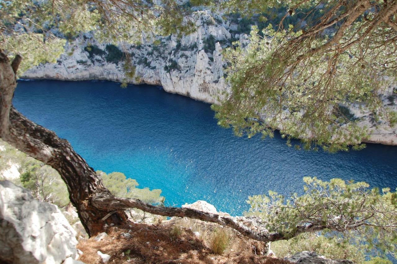 Azur Cassis Apartment Bagian luar foto